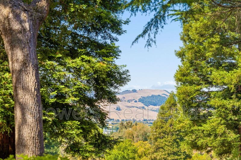 San Ramon Condo: 228 Copper Ridge Rd