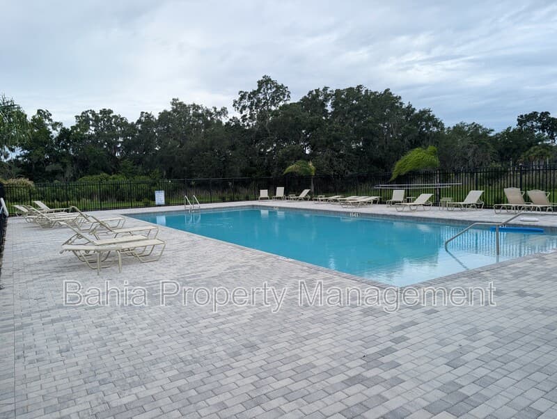 Zephyrhills House: 35491 Shade Fern Ln
