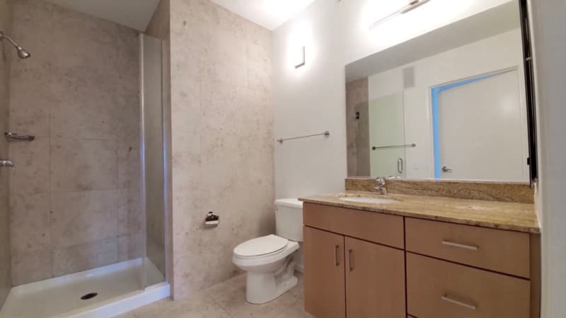 Chicago Condo: 205 E Illinois st