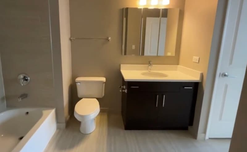 Chicago Condo: 739 N Wabash Ave