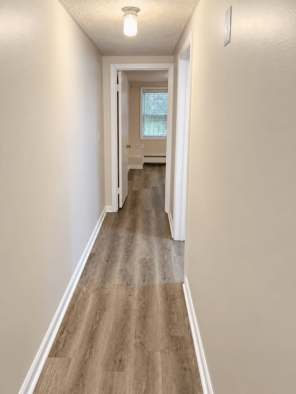 Albany Condo: 350 Madison Avenue - b