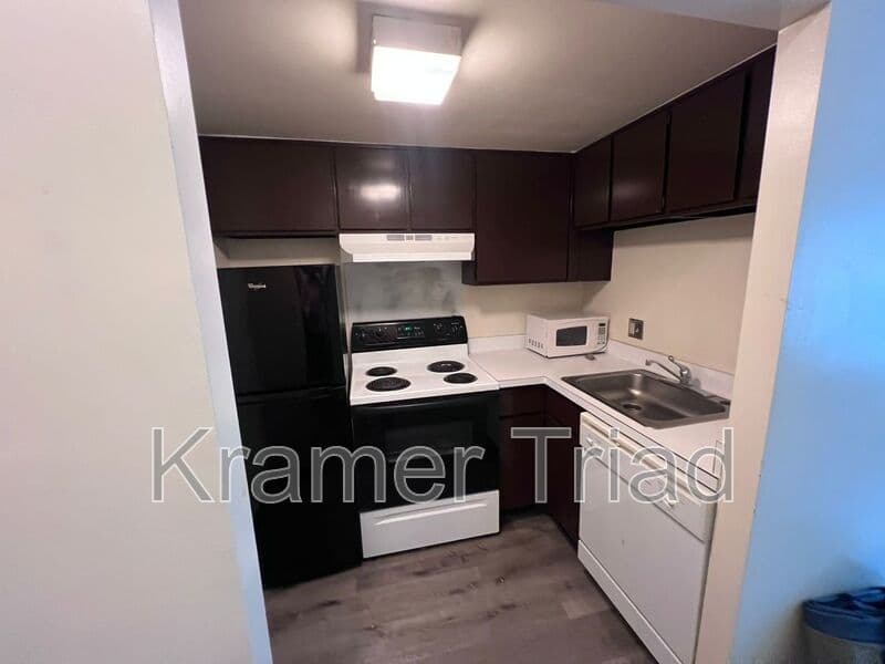 Ann Arbor Condo: 555 E William