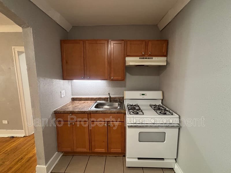 Chicago Condo: 9453 S Loomis St