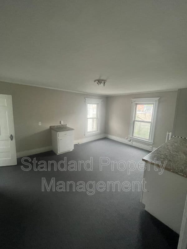 Rochester Condo: 293 Dartmouth St (Apt 2/Up)