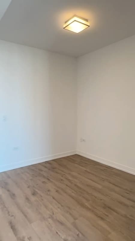Chicago Condo: 220 W Hill St