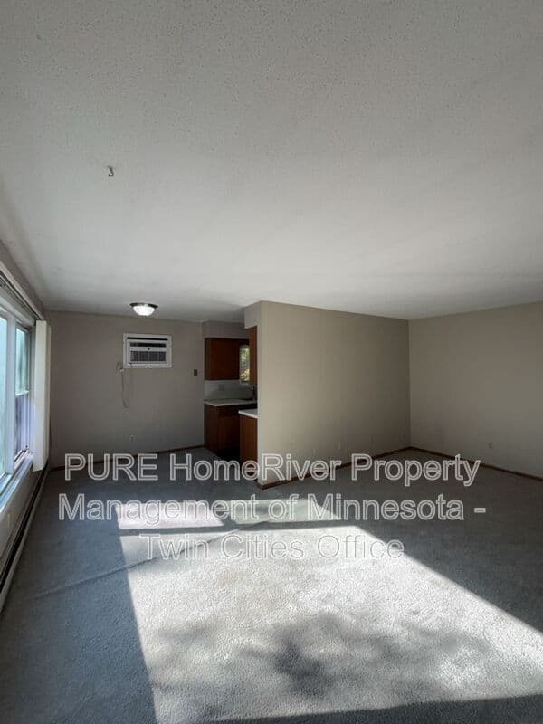Minneapolis Condo: 1500 10th Ave S