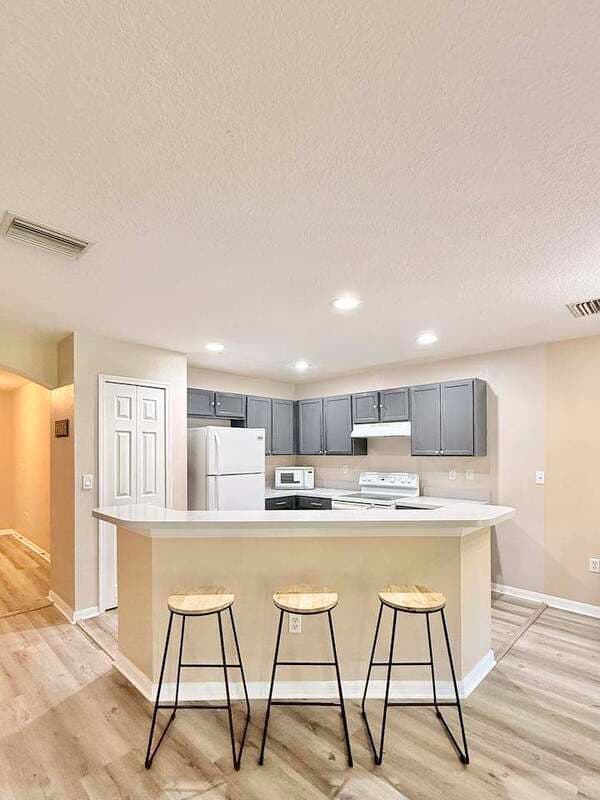 Brandon Townhome: 2516 Oleander Lakes Drive