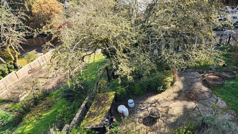 Seattle House: 1210 25th Ave E