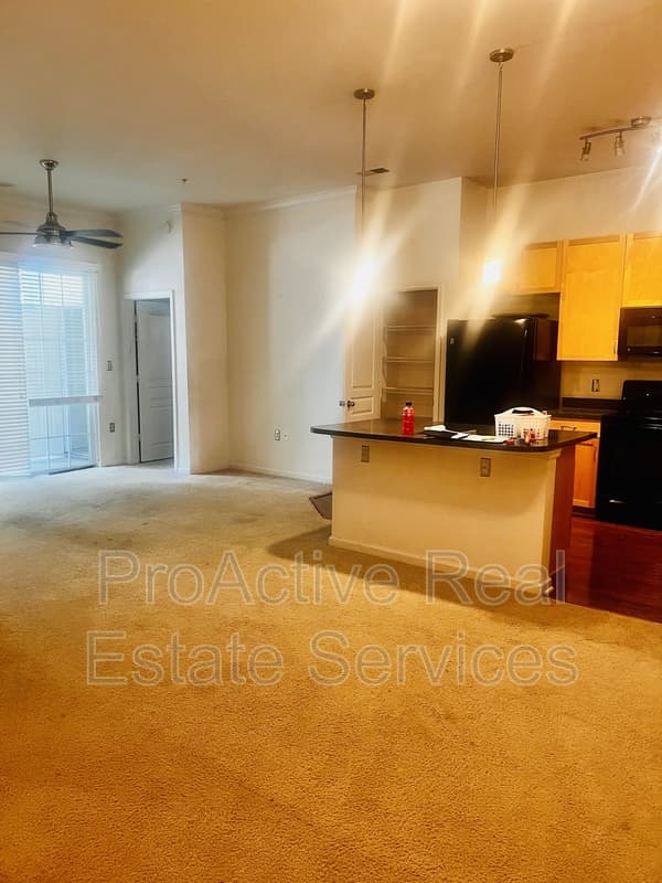 Norfolk Condo: 1400 Granby St. Unit 105