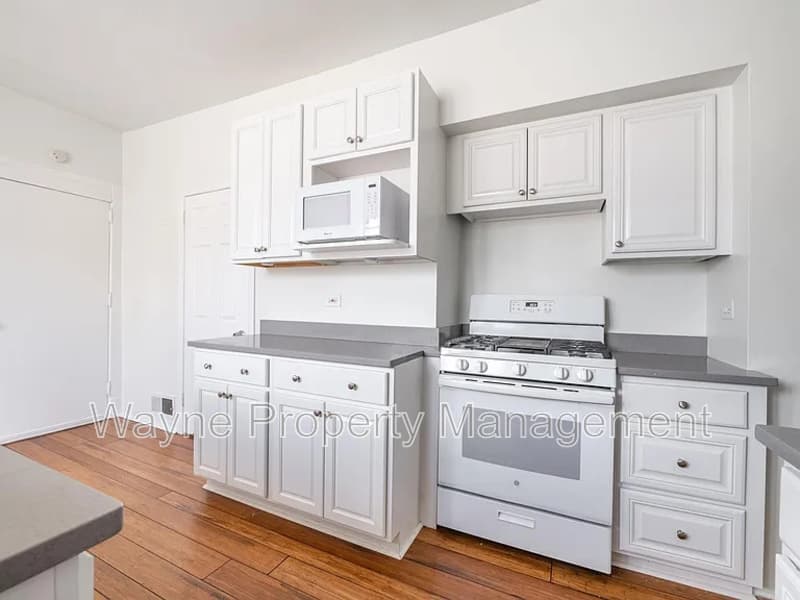 Chicago Condo: 1849 W Wellington Ave