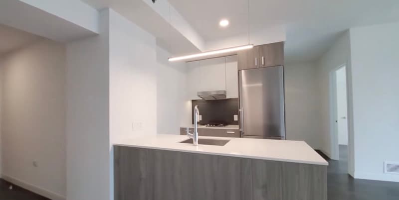Chicago Condo: 177 N Harbor