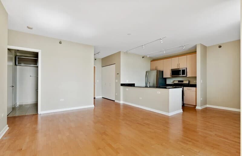 Chicago Condo: 330 W Grand Ave
