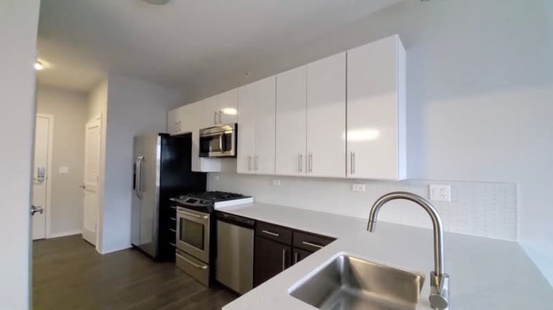 Chicago Condo: 801 W Adams St