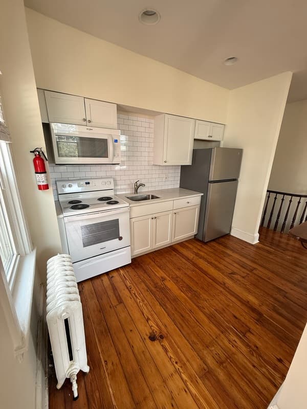 Wilmington Condo: 209 West 18th Street - 1