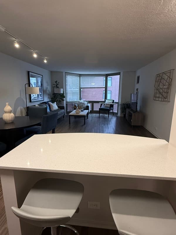 Chicago Condo: 1135 N Dearborn St