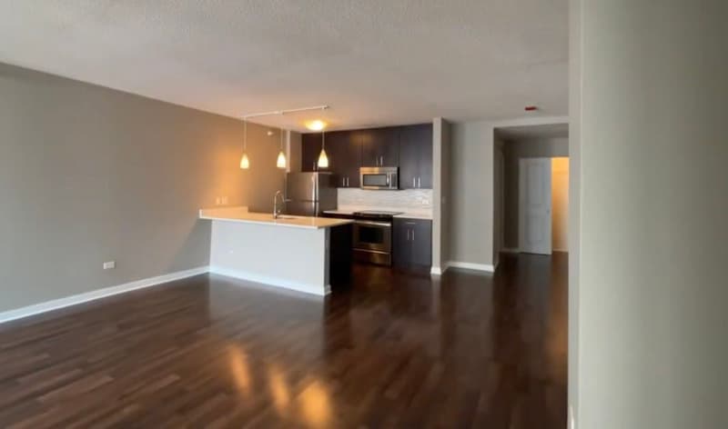 Chicago Condo: 739 N Wabash Ave