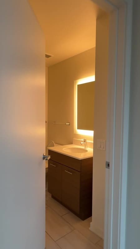 Chicago Condo: 351 W Chicago