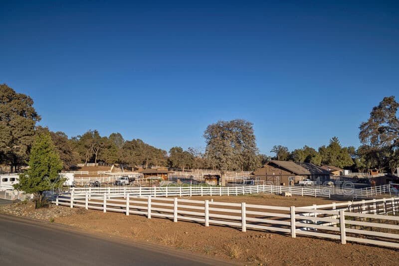 Groveland House: 20790 Ferretti Road