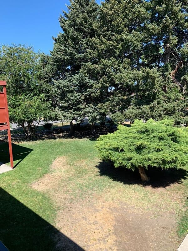 Pasco Condo: 624 W. Yakima St.