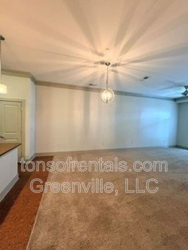 Greenville Condo: 98 E. McBee Ave.