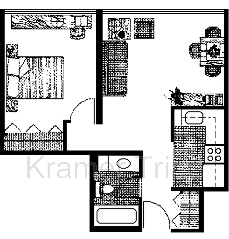 Ann Arbor Condo: 555 E William