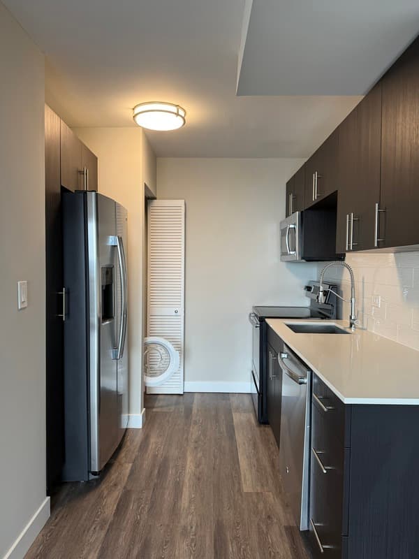 Chicago Condo: 870 N  State St.