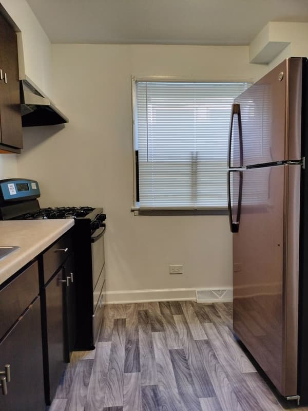 Chicago Condo: 7910 South Muskegon Avenue - 1