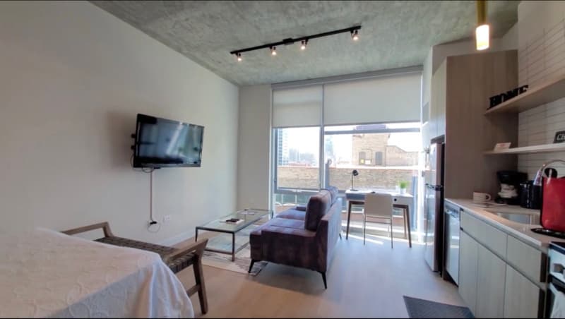 Chicago Condo: 59 w Hubbard St