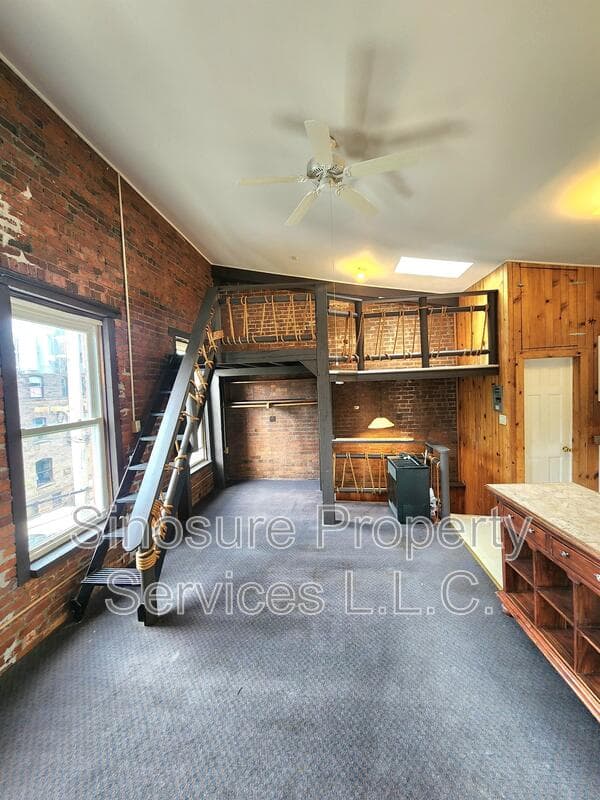 Albany Condo: 250 Lark Street - Third Floor