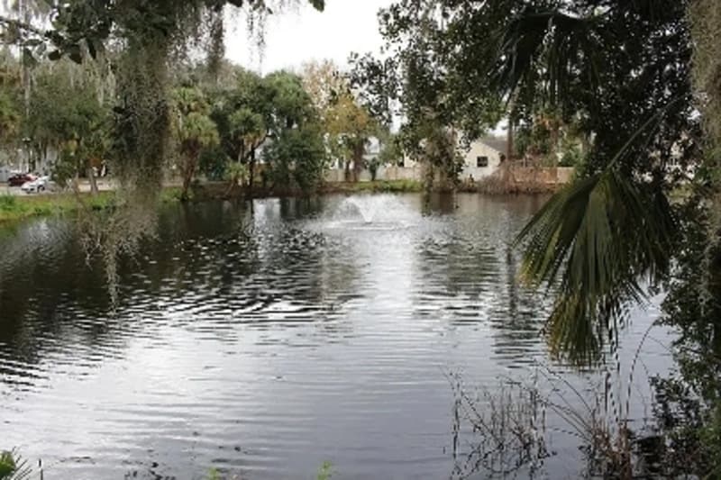 New Smyrna Beach Condo: 1050 Wayne Avenue