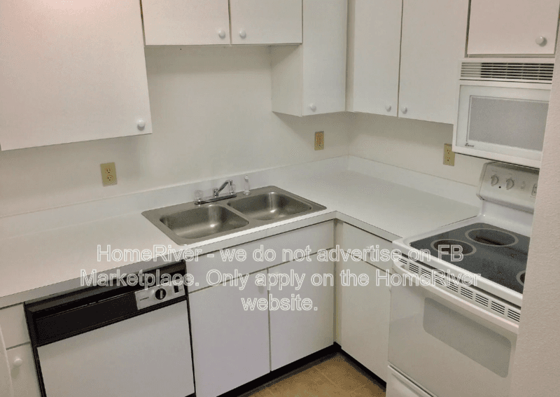 Tampa Condo: 305 E Whitehall Ct
