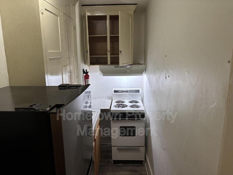 Shamokin Condo: 319 East Sunbury Street