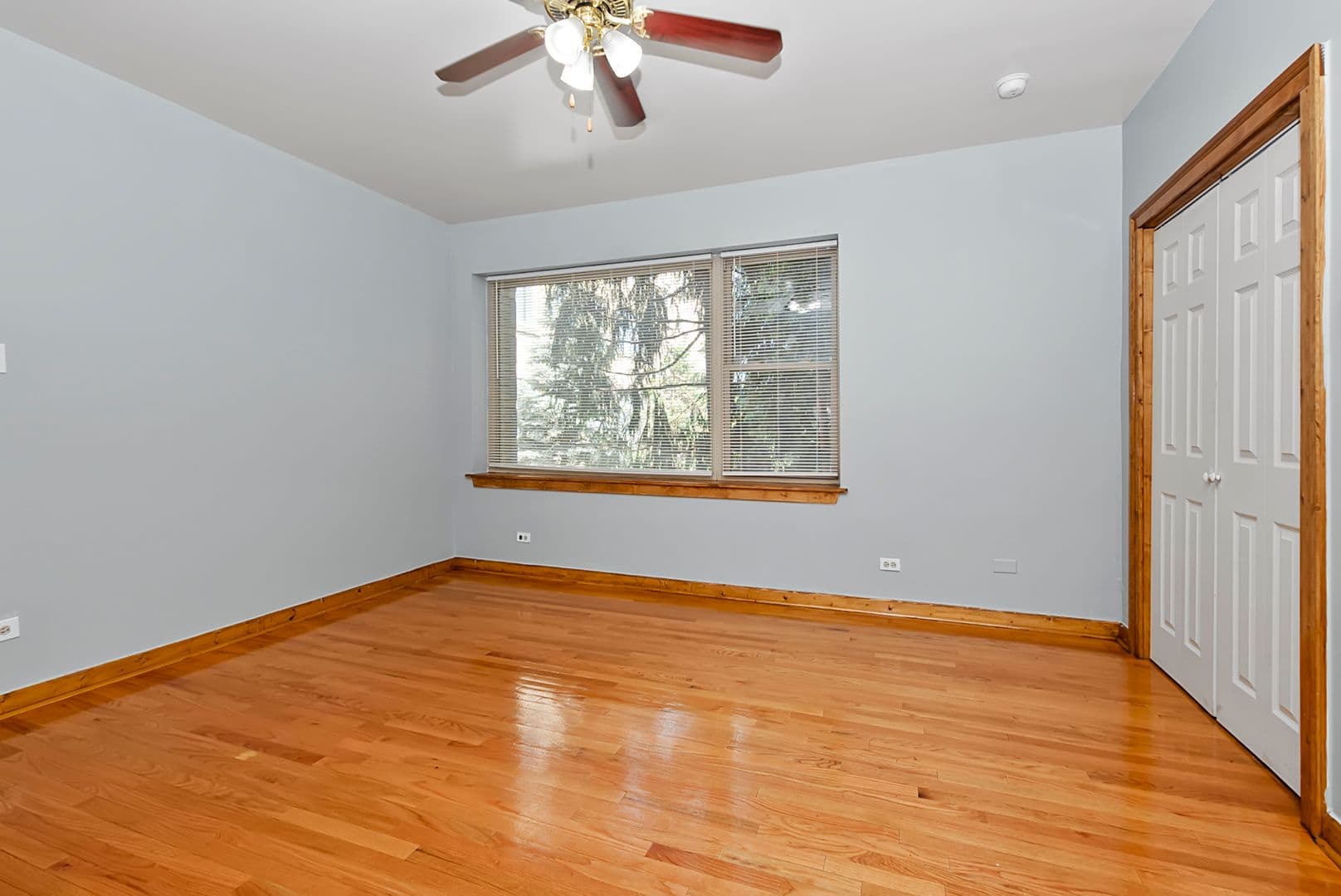 Chicago Apartment: 6320-28 S Troy St