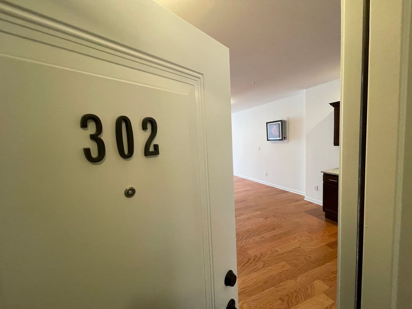 Albany Apartment: 99 Pine Street