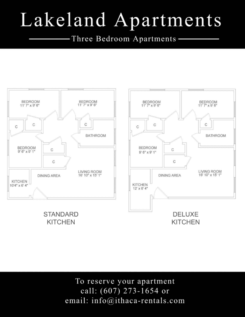 Ithaca Apartment: 319 Highland Ave