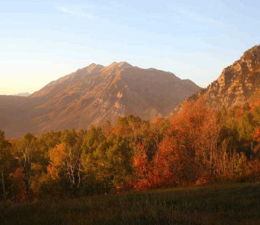 Best Neighborhoods for Outdoor Activities in Provo
