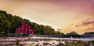 Things to Do in Bedminster, NJ: A Local Guide